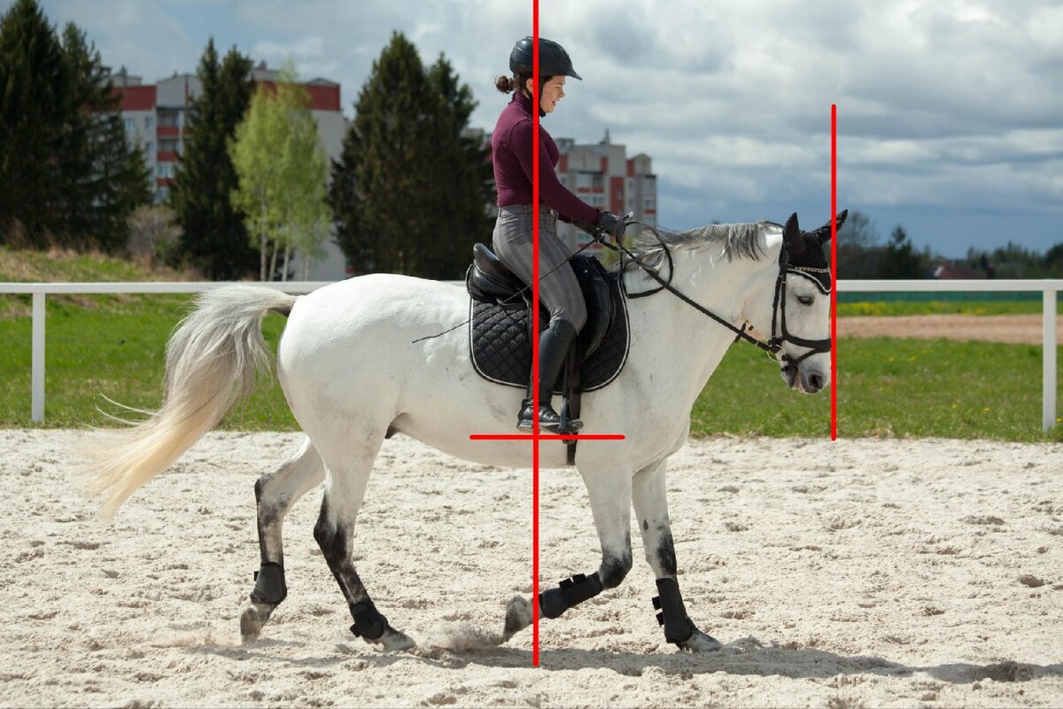 Вот так выглядит результат через год того же самого всадника по сравнению с предыдущим фото. 