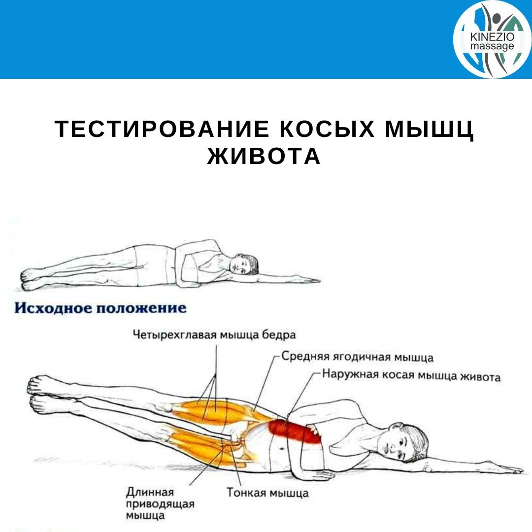 Болит правый бок сзади спины, что делать?