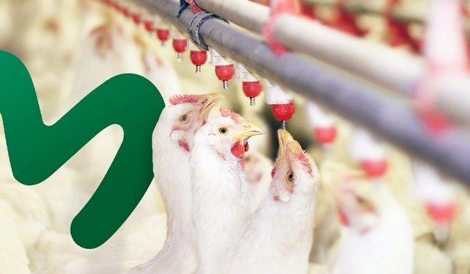 Фото: «Рефтинская»