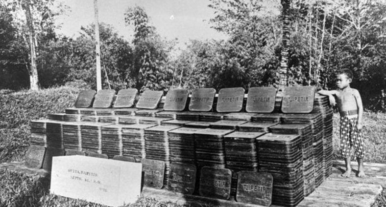 Индонезийская плантация Tjipetir в конце XIX начале XX века