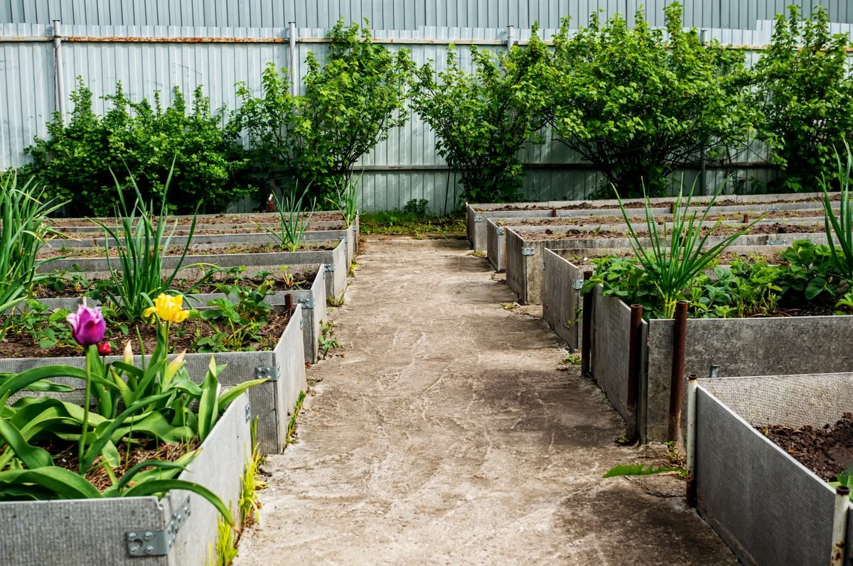 Грядки из плоского шифера