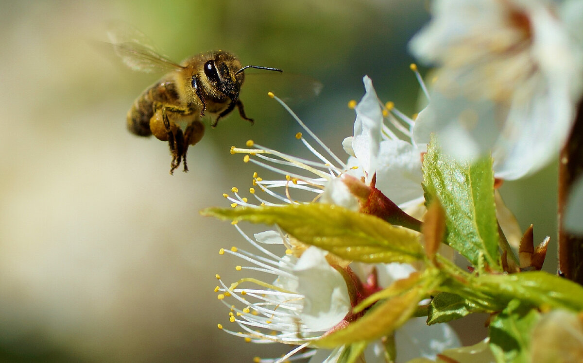 Фото автора.