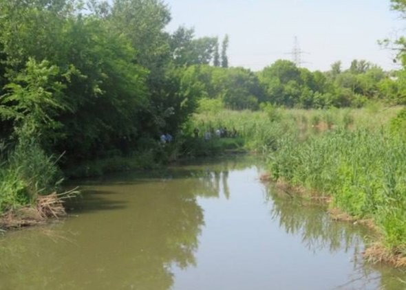 НОВОСТИ 30 МАЯ, 15:53 В Ростове-на-Дону в реке найдено тело 7-летнего мальчика с ожогами от сигарет
В Ростове-на-Дону со дна реки Темерник выловили сумку с телом семилетнего мальчика. Имеются признаки насильственной смерти, на теле множественные ожоги от сигарет. По информации телеграм-канала SHOT, по подозрению в убийстве ребенка задержан отец мальчика.

Тело обнаружил пенсионер-рыбак в районе улицы Зоологической. Удочка зацепила в воде какую-то сумку, мужчина вынул ее из реки и открыл. Внутри лежали кирпичи и замотанное в пакеты тело ребенка.

На место приехали полицейские и судмедэксперт, который установил, что тело мальчика прижигали сигаретами, также он мог быть жертвой сексуализированного насилия. Давность смерти примерно три-четыре дня.Позже появилась информация о том, что личность погибшего ребенка установлена, по подозрению в убийстве задержан отец мальчика. 
