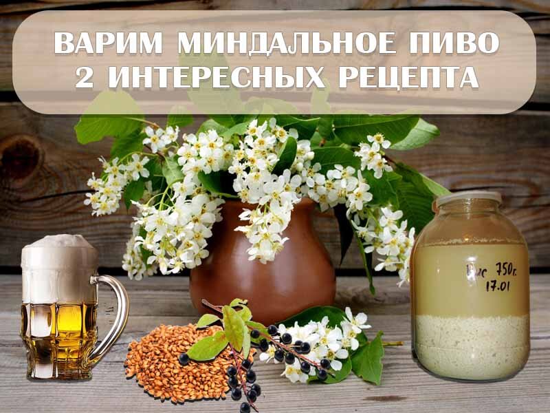 Варим пиво с миндалём. 