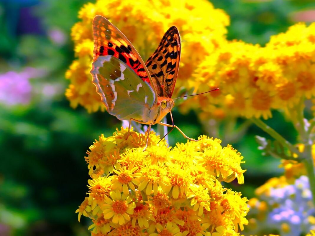 БЛАГОДАРИМ ВАС ЗА ПОДДЕРЖКУ НАЧИНАЮЩЕГО КАНАЛА - ПОДПИСКУ И КОММЕНТАРИЙ! ОСТАВАЙТЕСЬ С НАМИ, ВАС ЖДЕТ МНОГО ИНТЕРЕСНОГО!