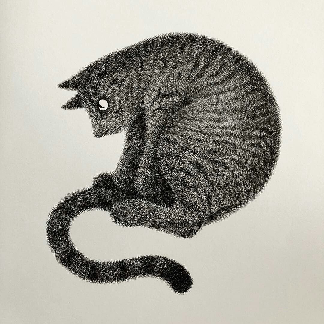Графический рисунок кошка
