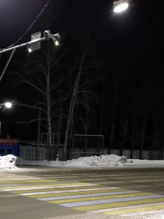     Фото: пресс-служба мэрии Омска