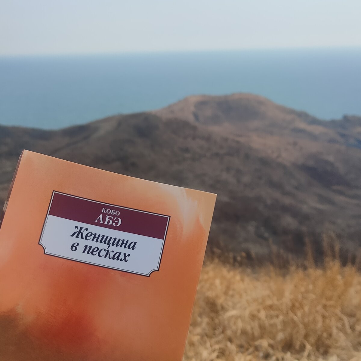 кобо абэ женщина в песках эксмо. кобо абэ женщина в песках иллюстрации. женщина в песках кобо абэ книга. к. кобо абэ.