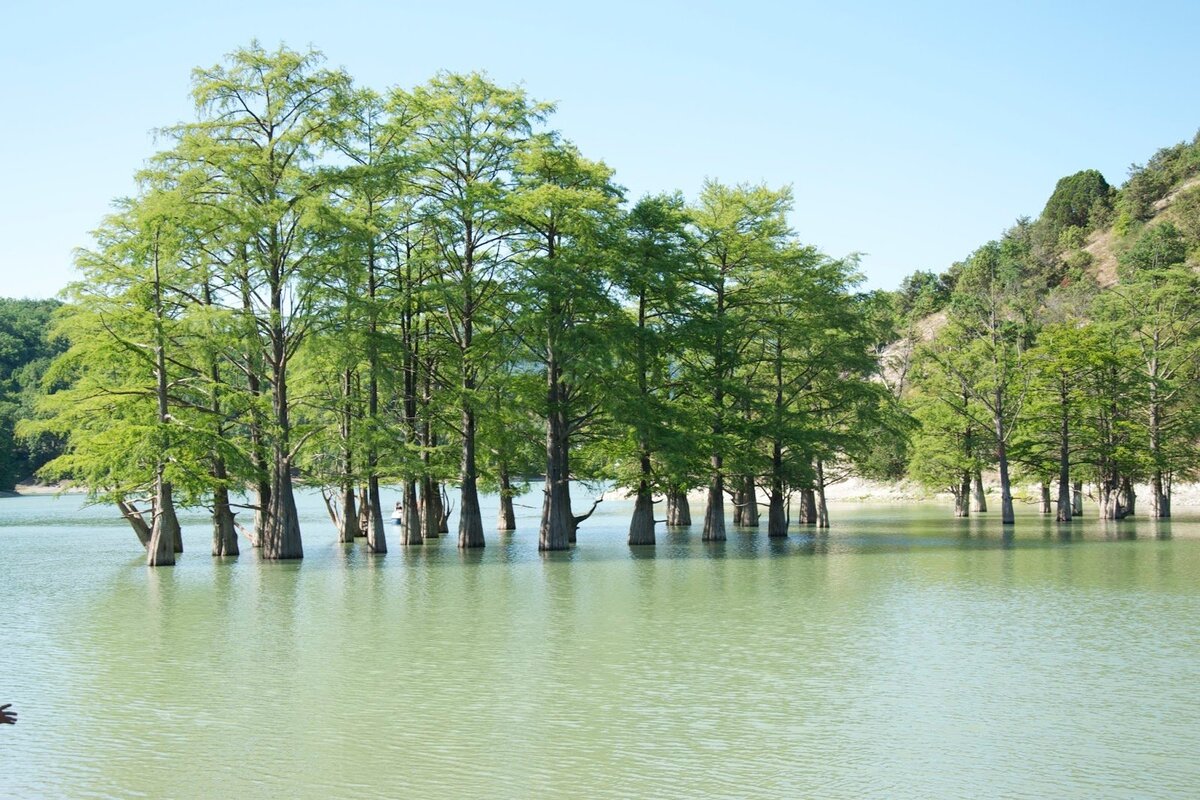 Фото взято с Яндекс. Картинки 