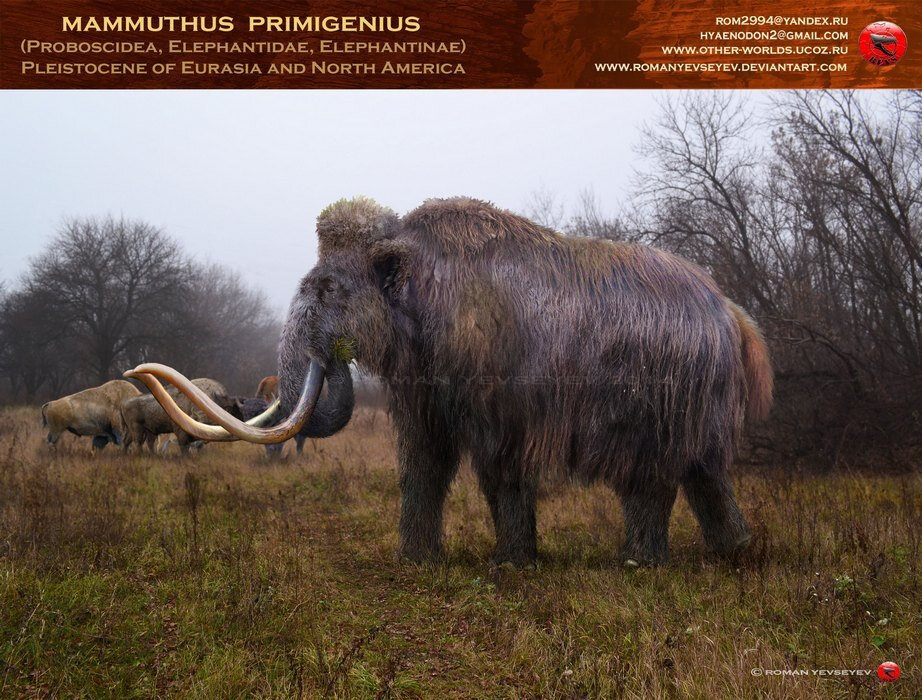 Мамонты, только ли шерстистые?