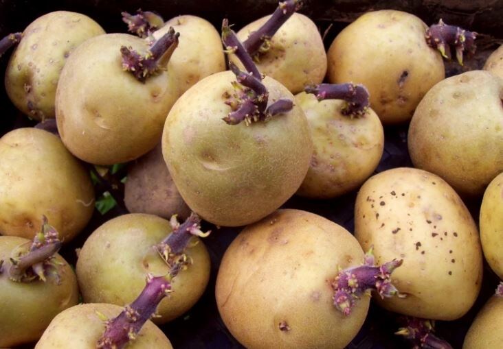 Готовим к посадке