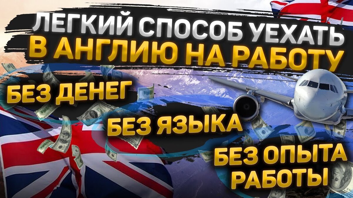 Работа для студентов в США, Англии, Канаде, Австралии. Как получить  разрешение на работу? | Strana.uk | Дзен