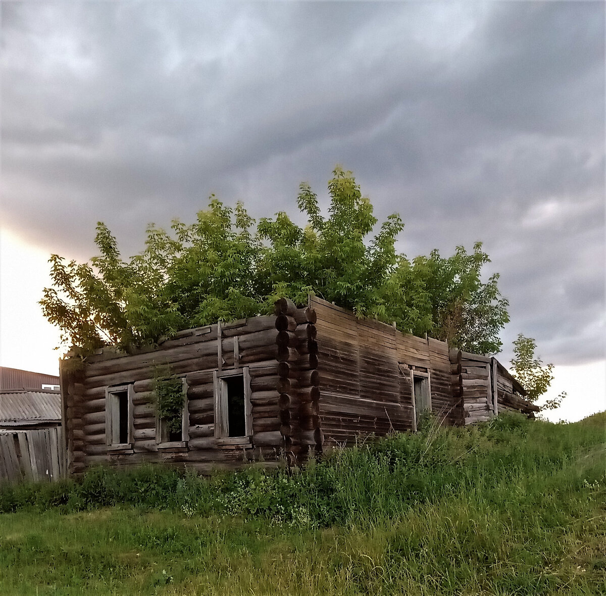 Разрушенная жизнь. Фото автора канала.