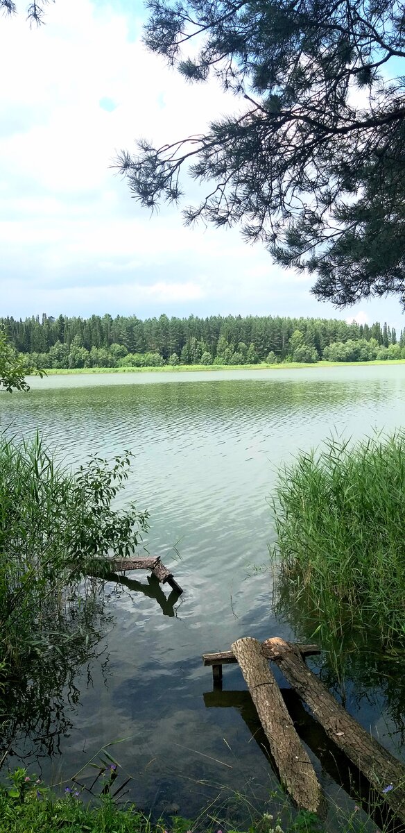 Пруд в Бикбарде