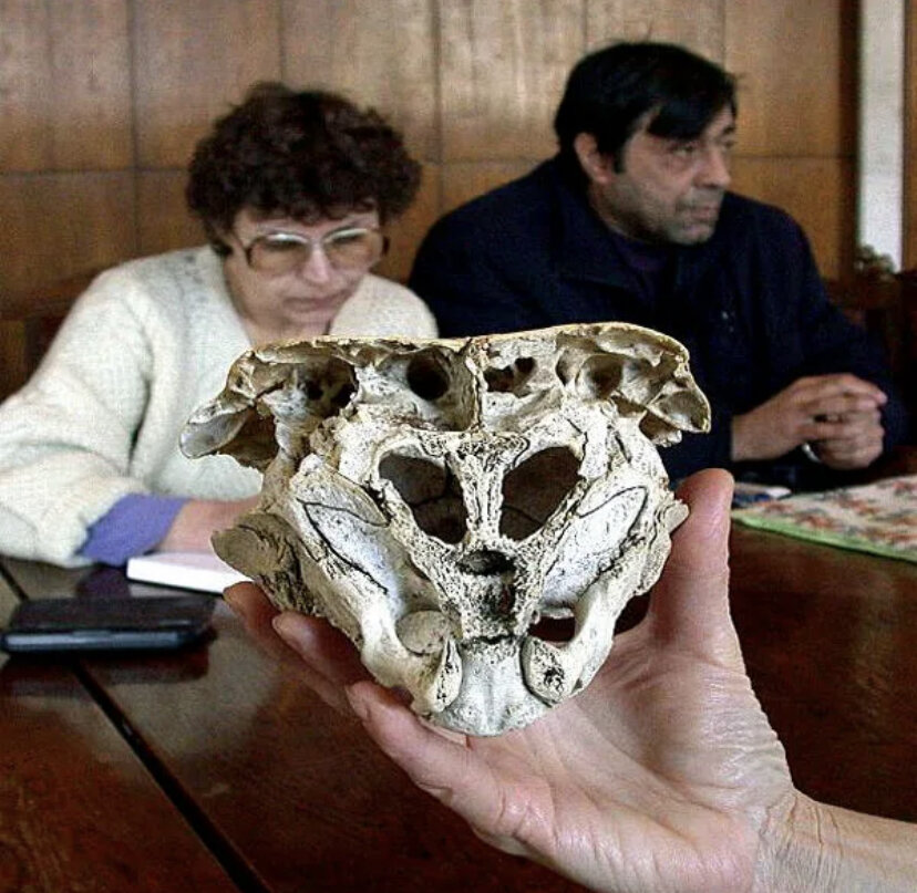 Фото взято из открытых источников Wikipedia  