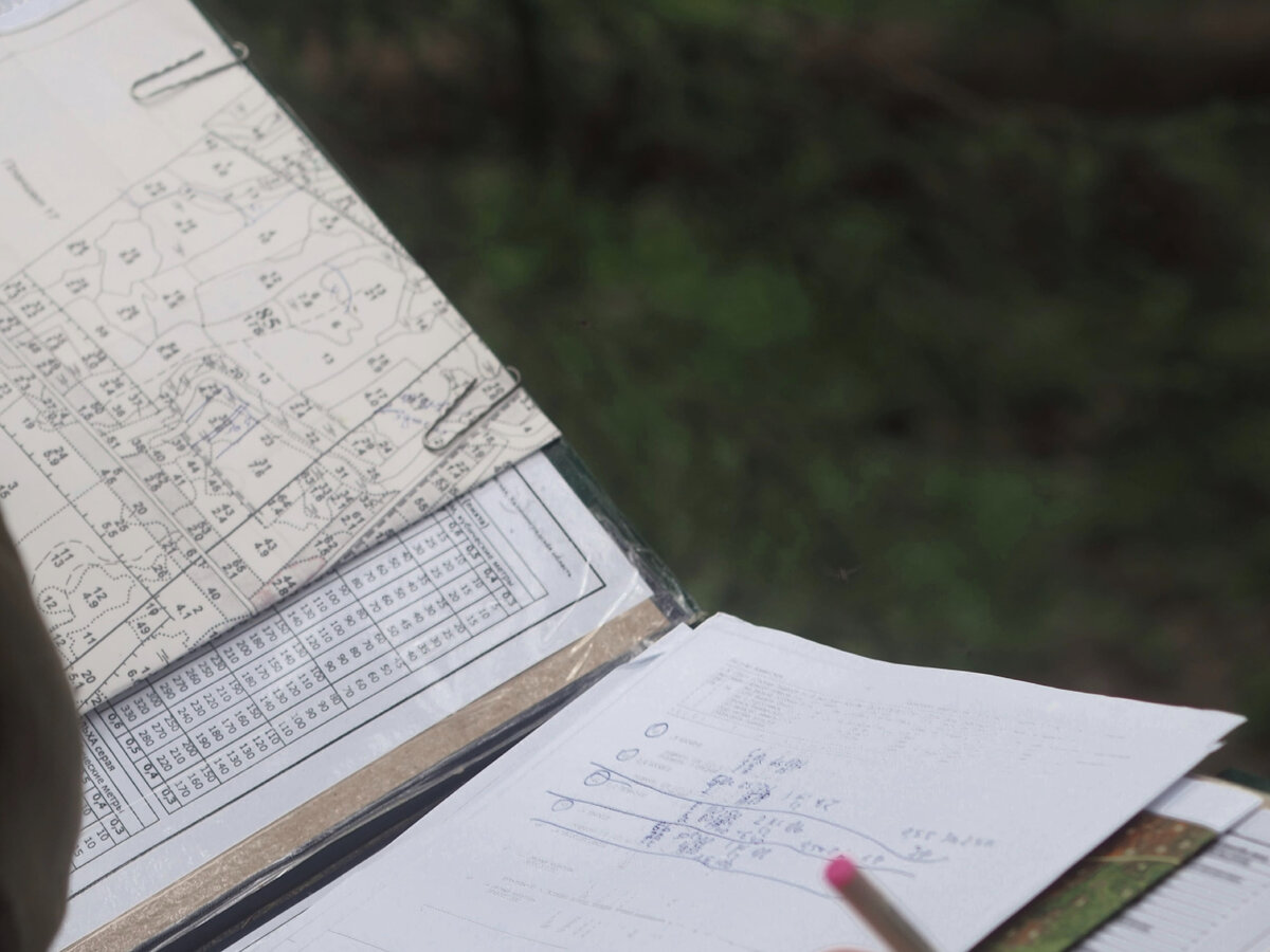 Доступным языком про категории земель