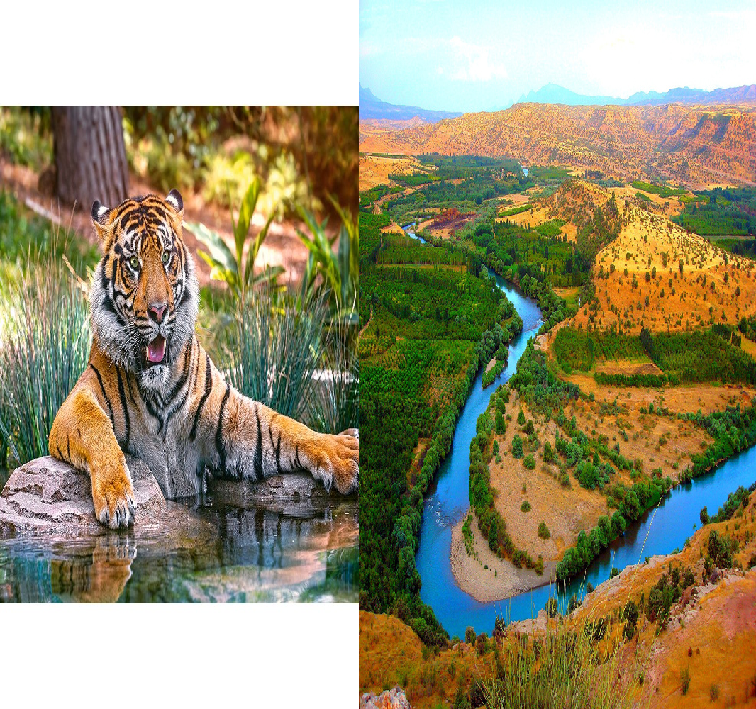 Река тигр впр 5. Река тигр. Древняя река тигр. Река тигр в Греции?. Река тигр картинки.