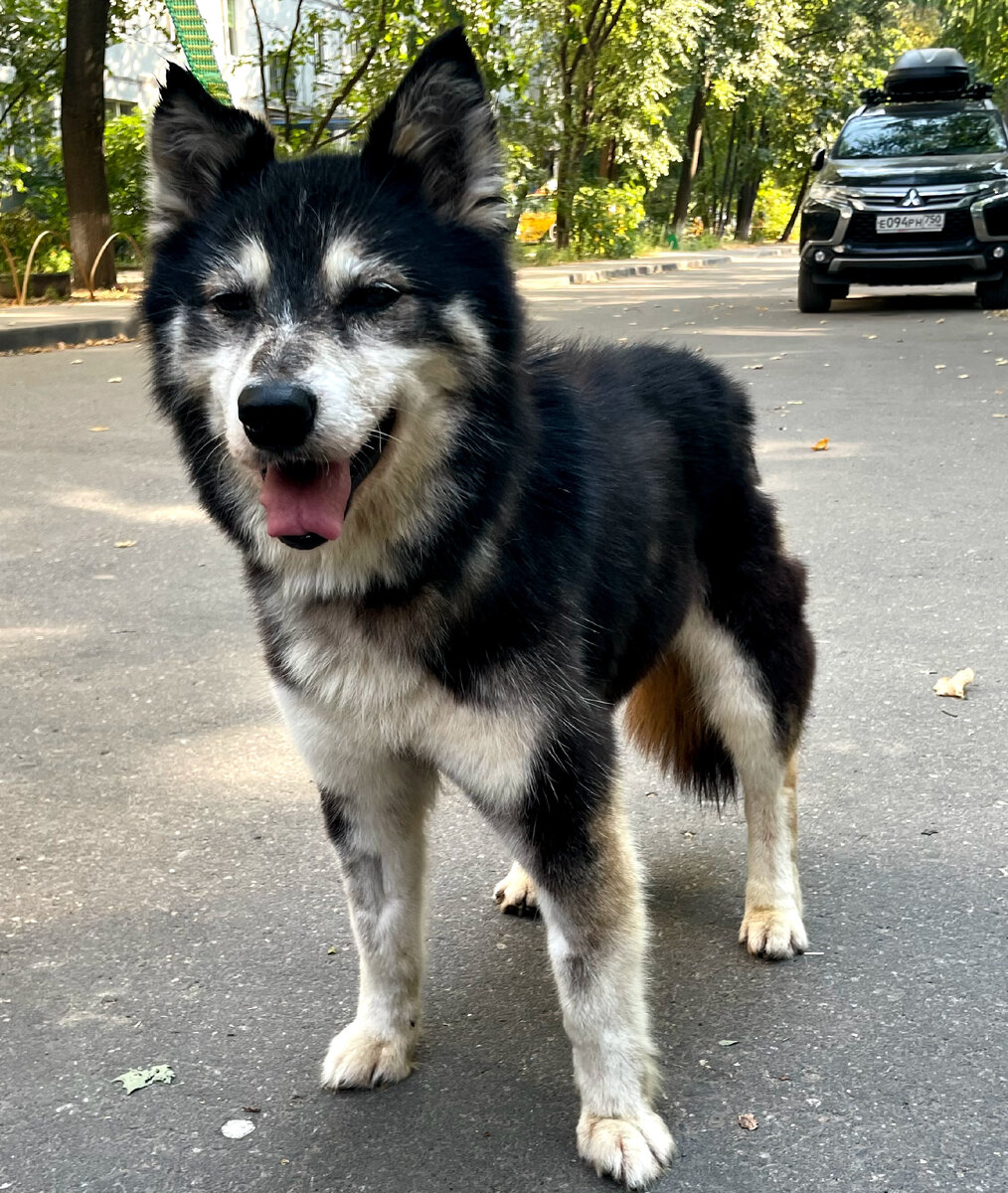 А это Юта🤗