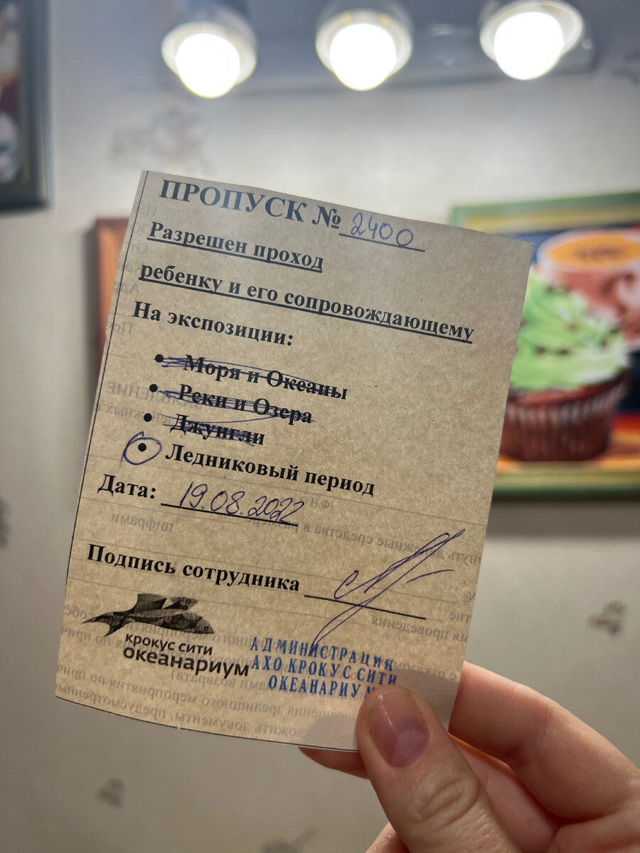 Такой бесплатный билет выдают