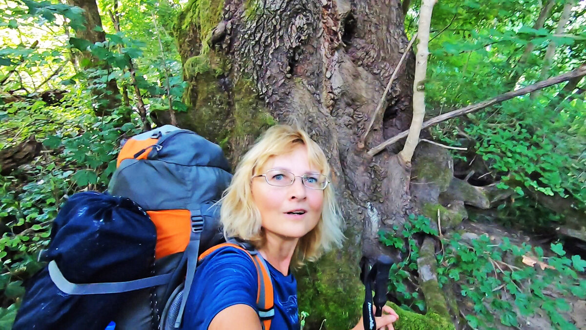 У первого огромного дерева