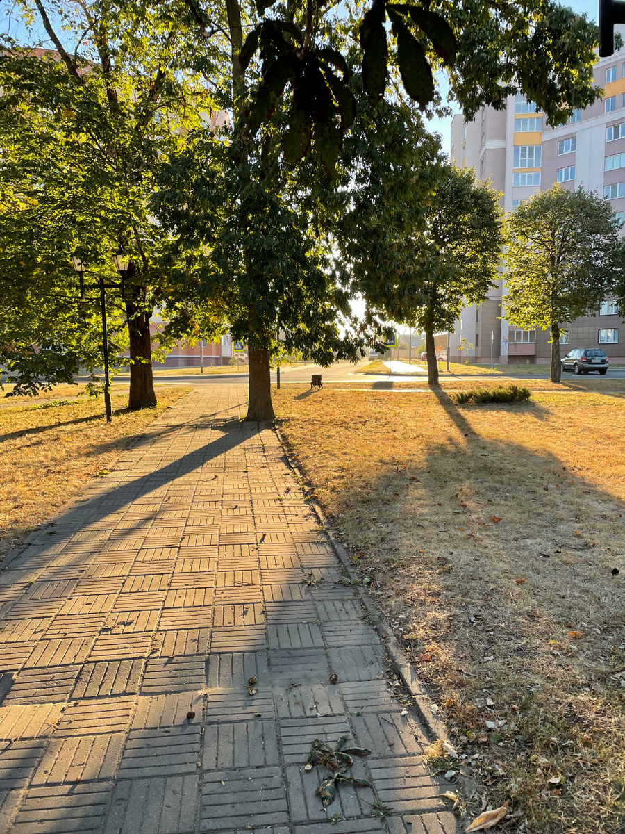 Осень - утро и пробуждение солнышка 