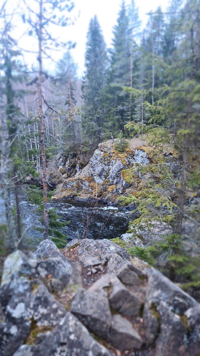 Река Суна в обрамлении диабазовых скал