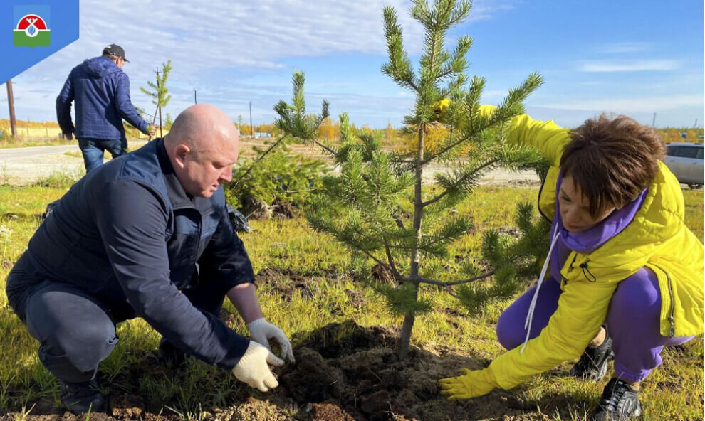    Новости ЯНАО: фермерам помогут запустить новые проекты, в Надымском районе за неделю высадили 1000 саженцев, экофестиваль «Ягель» станет ежегодным