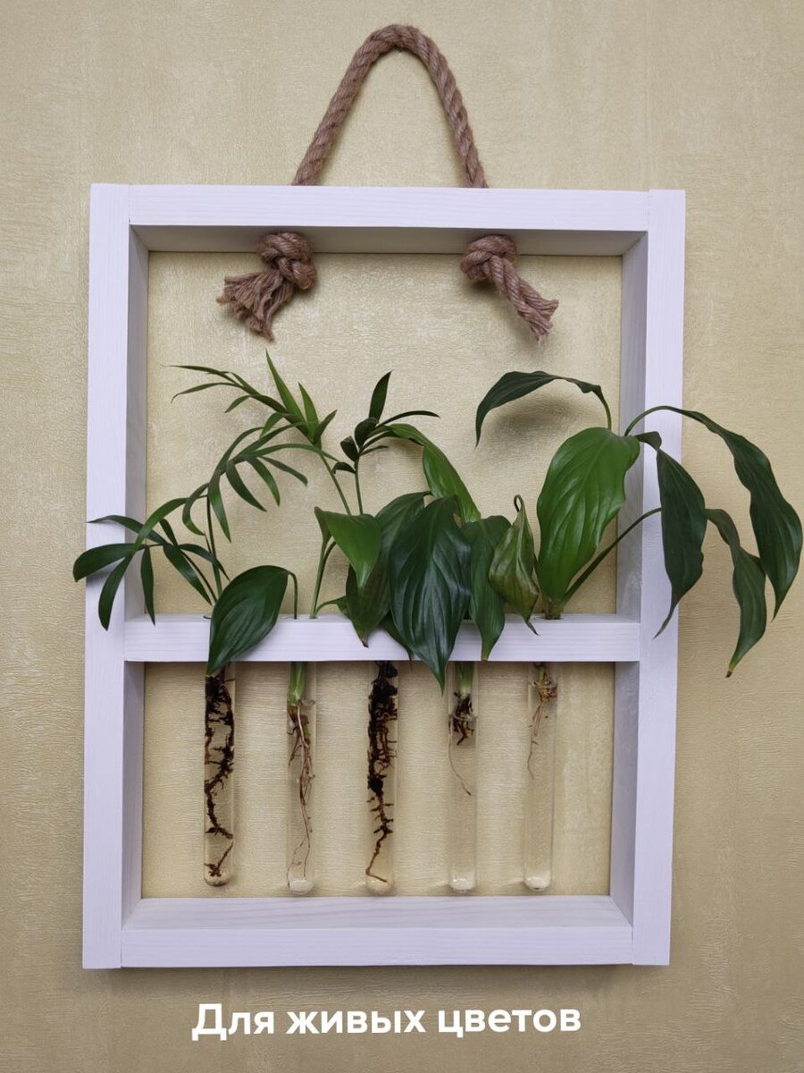 Рамочки на Озон подешевле если что. И за отзыв можно получить баллы