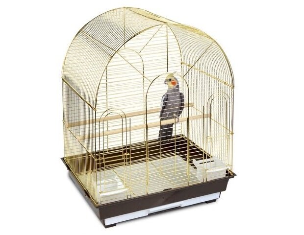 Как выбрать подходящую клетку для попугая: советы и рекомендации