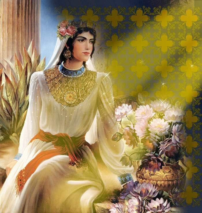 Credit Dareus A Kamali 