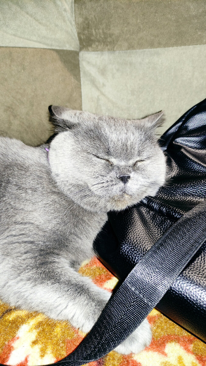 Фото автора канала 