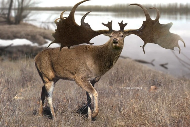 Даже самые большие звери кричат, после того как ударятся пальчиком о тумбочку, в этом нет ничего стыдного.