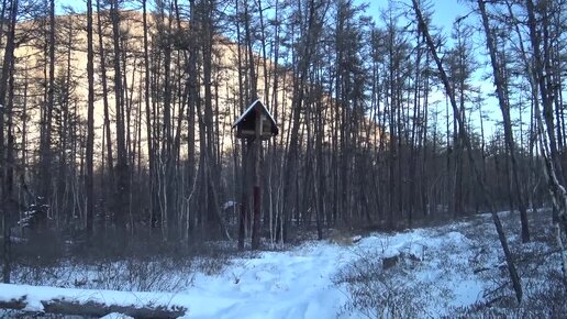 Секс Порно избушка Винтаж Фильмы