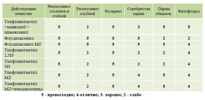 Срок хранения картофеля