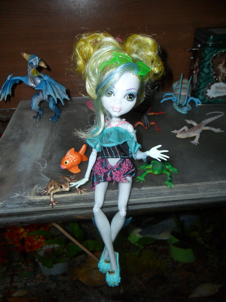 Лагунка с питомцами 