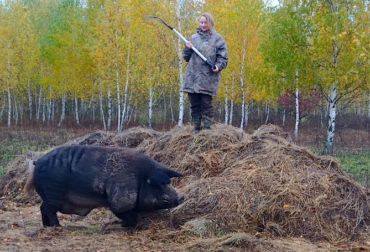 Ника не прячется от Бэкона, а мотивирует его собственным примером покорять новые вершины, следуя за ней на верх сенной кучи