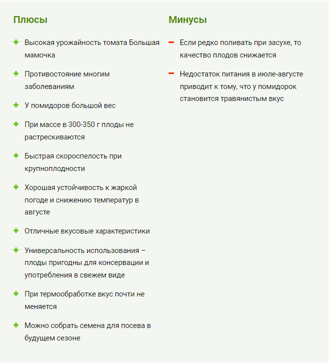 Томат Воевода: описание сорта и характеристики, особенности посадки и выращивания, болезни и вредители, отзывы