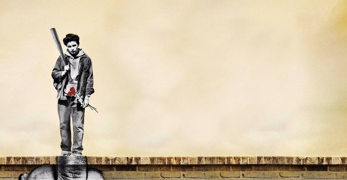 Жанр комедия, боевик                                                                                                Страна США