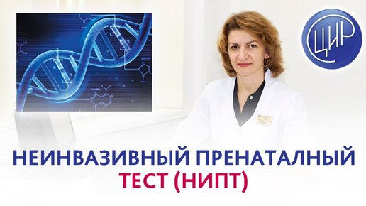 Неинвазивный пренатальный тест (НИПТ) и хромосомные аномалии плода. Дементьева С.Н.