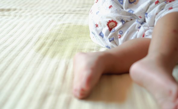    Фото: Fleuraya / Shutterstock / Fotodom