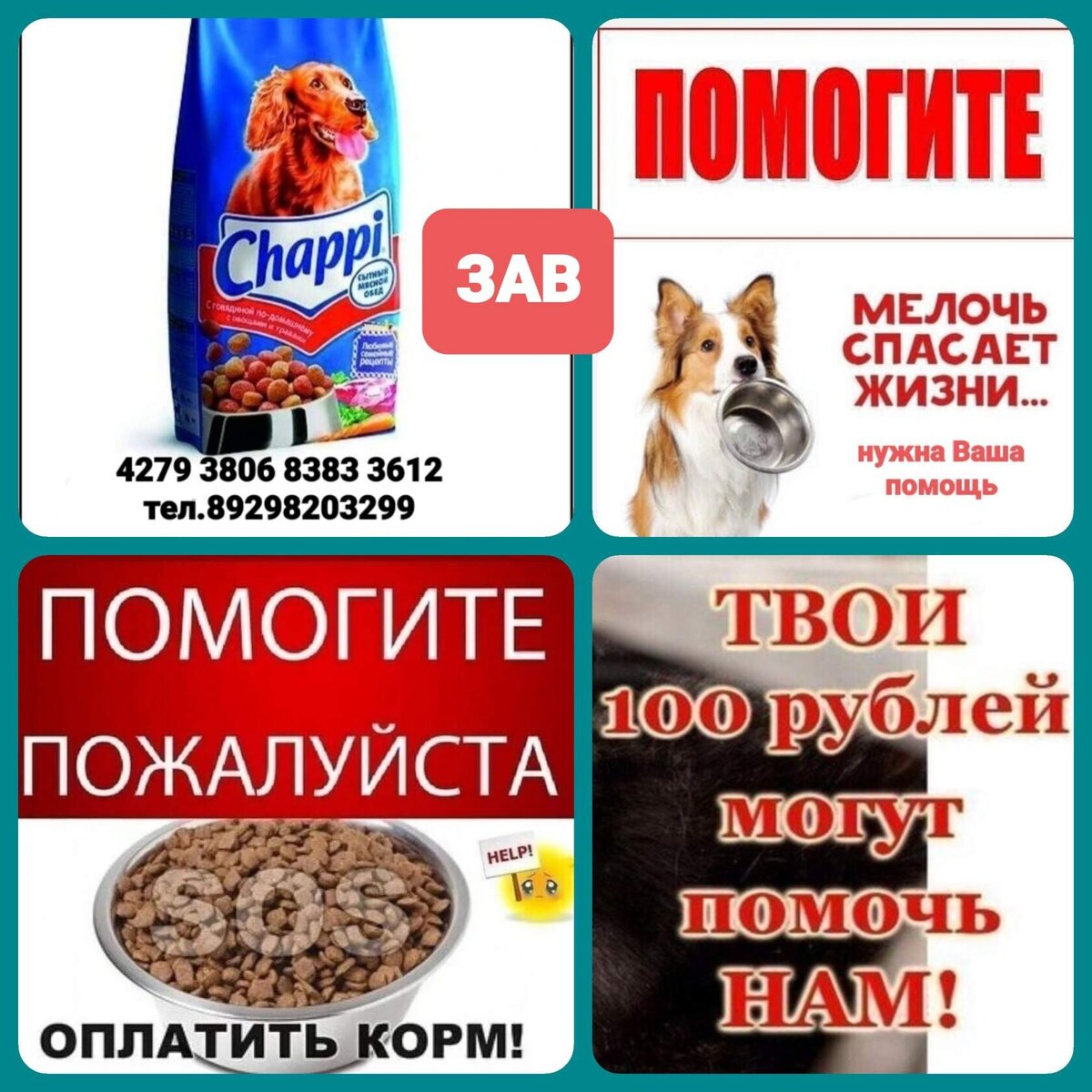 Акция!! На корм, помогите собрать 🙏 | Кураторы Света и Мила_помощь 🐕🐈  Ростов на Дону и область. | Дзен