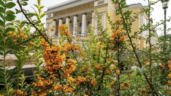   © Sputnik / Тимур Батыршин