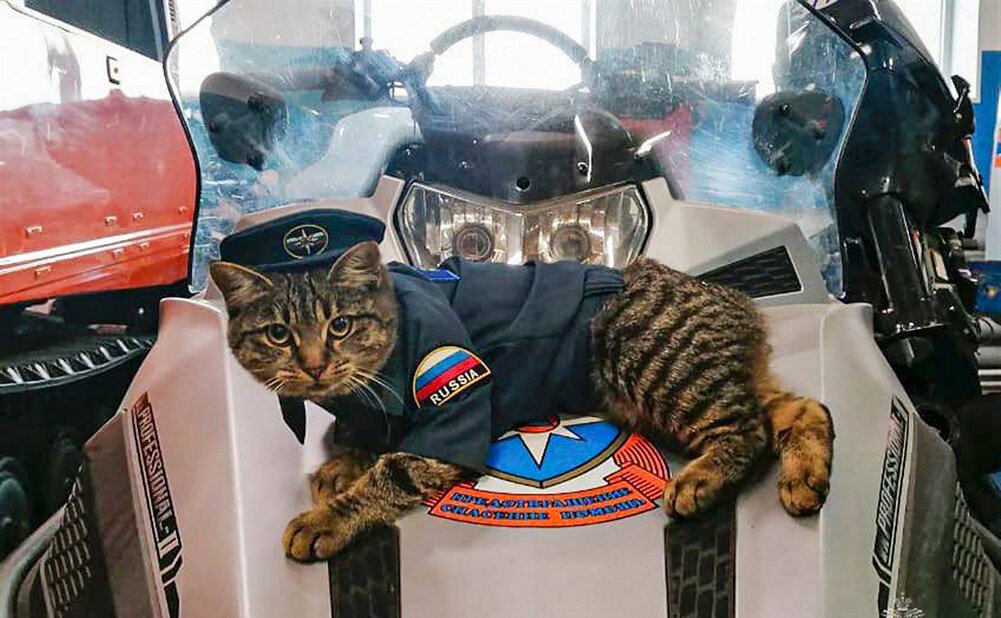     Фото: МЧС по Сахалинской области