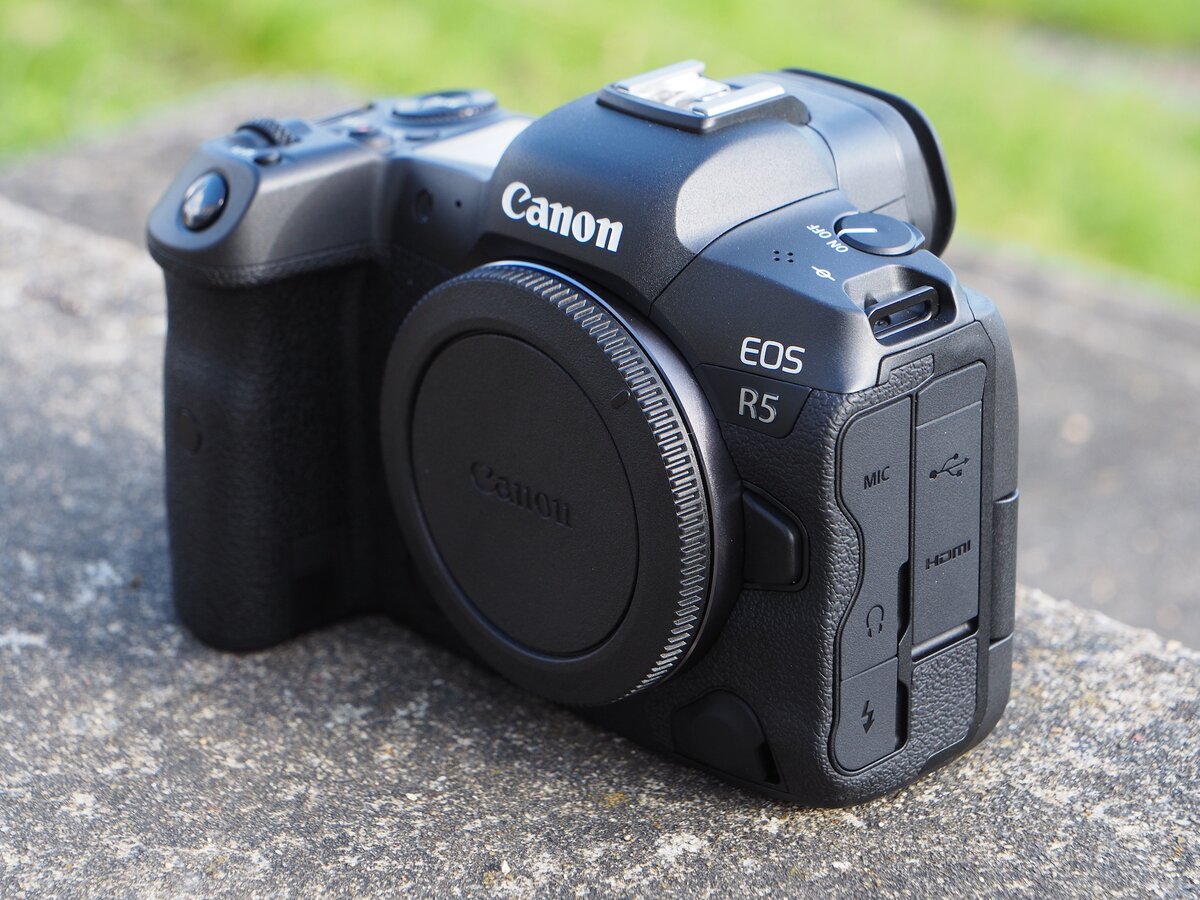 Canon r6 примеры фото Какая камера лучше: хорошие беззеркальные и зеркальные модели на разный бюджет Ф