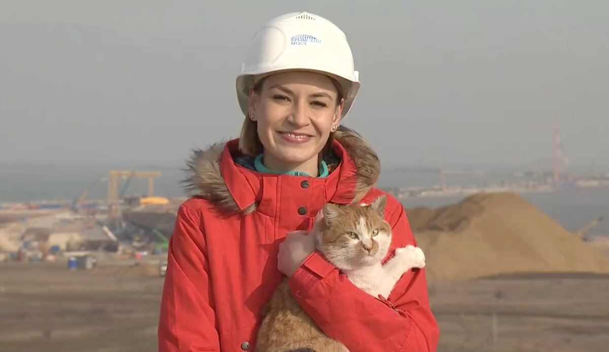 Семья ольги армяковой. Кот мостик в Крыму