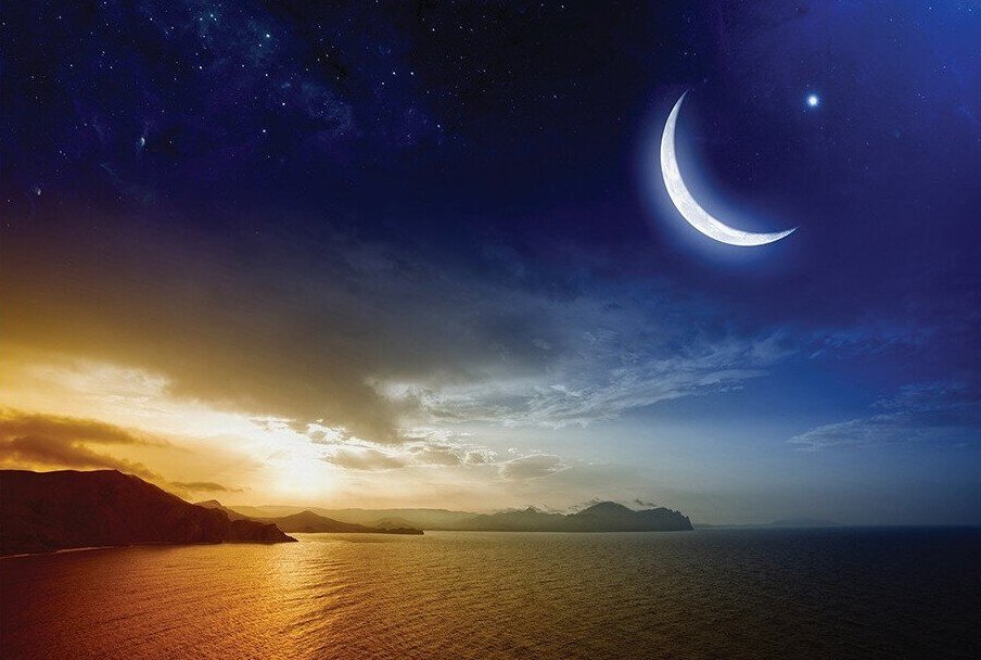 Яндекс. Открытый источник 