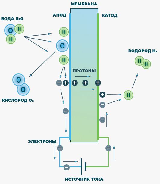 Схематическое изображение процесса электролиза воды, протекающего в мембранно-электродном блоке (МЭБ) генератора водорода на основе PEM-технологии.