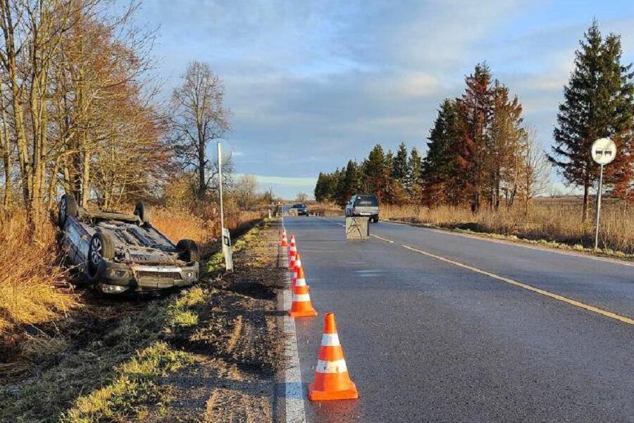Фото: пресс-служба УМВД