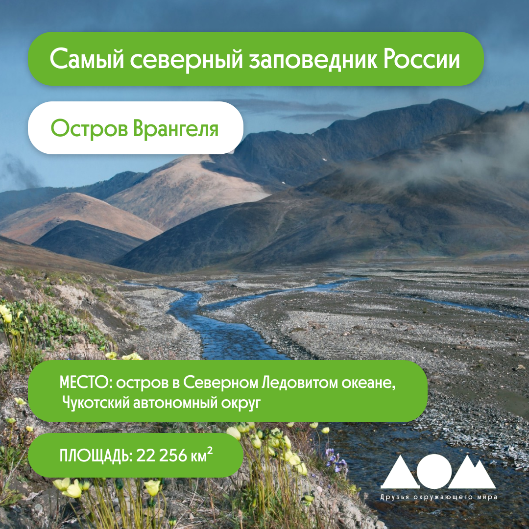 Остров врангеля на карте контурной