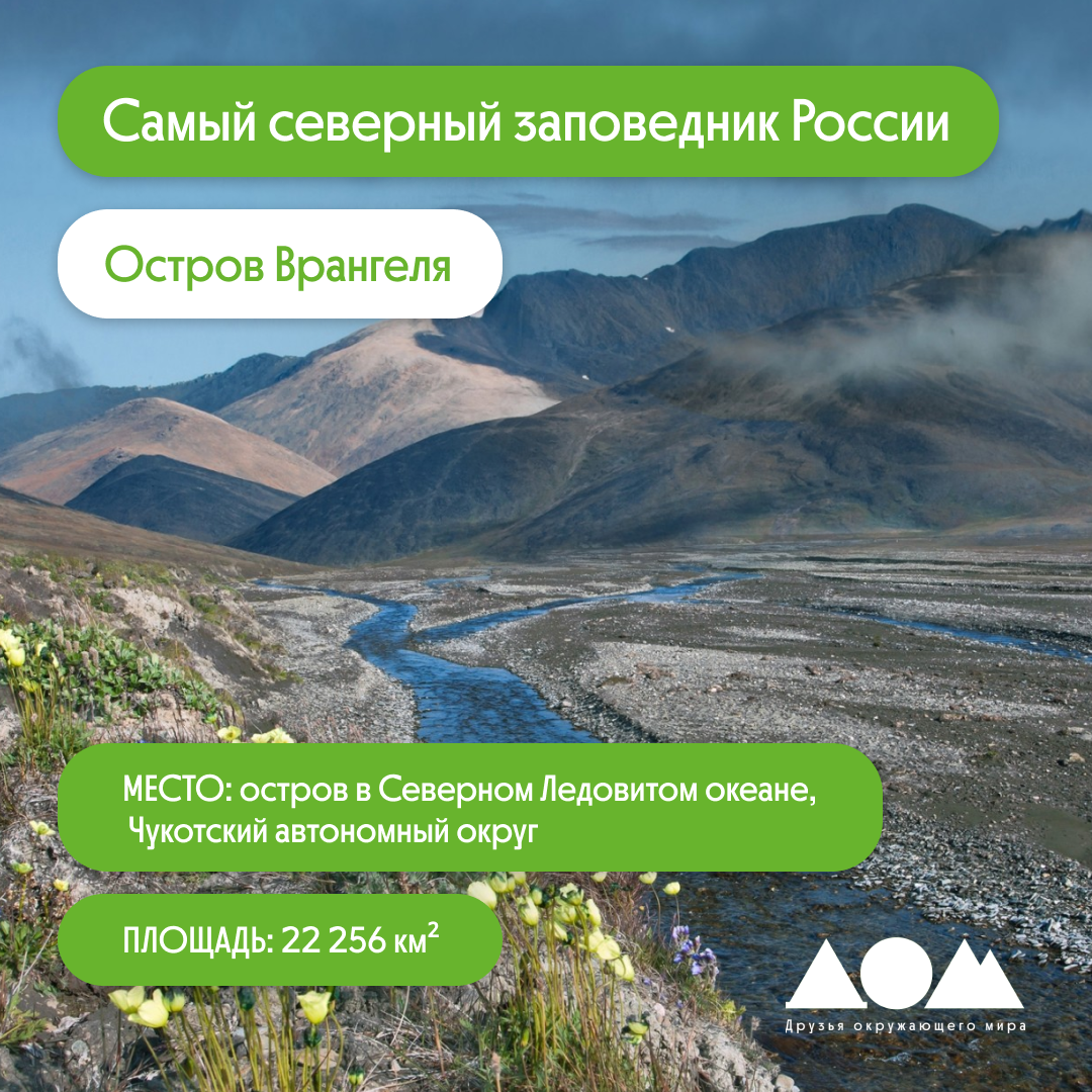 Как охраняют природу в России? О заповедниках и не только | Движение за  экологию «Друзья окружающего мира» ДОМ | Дзен